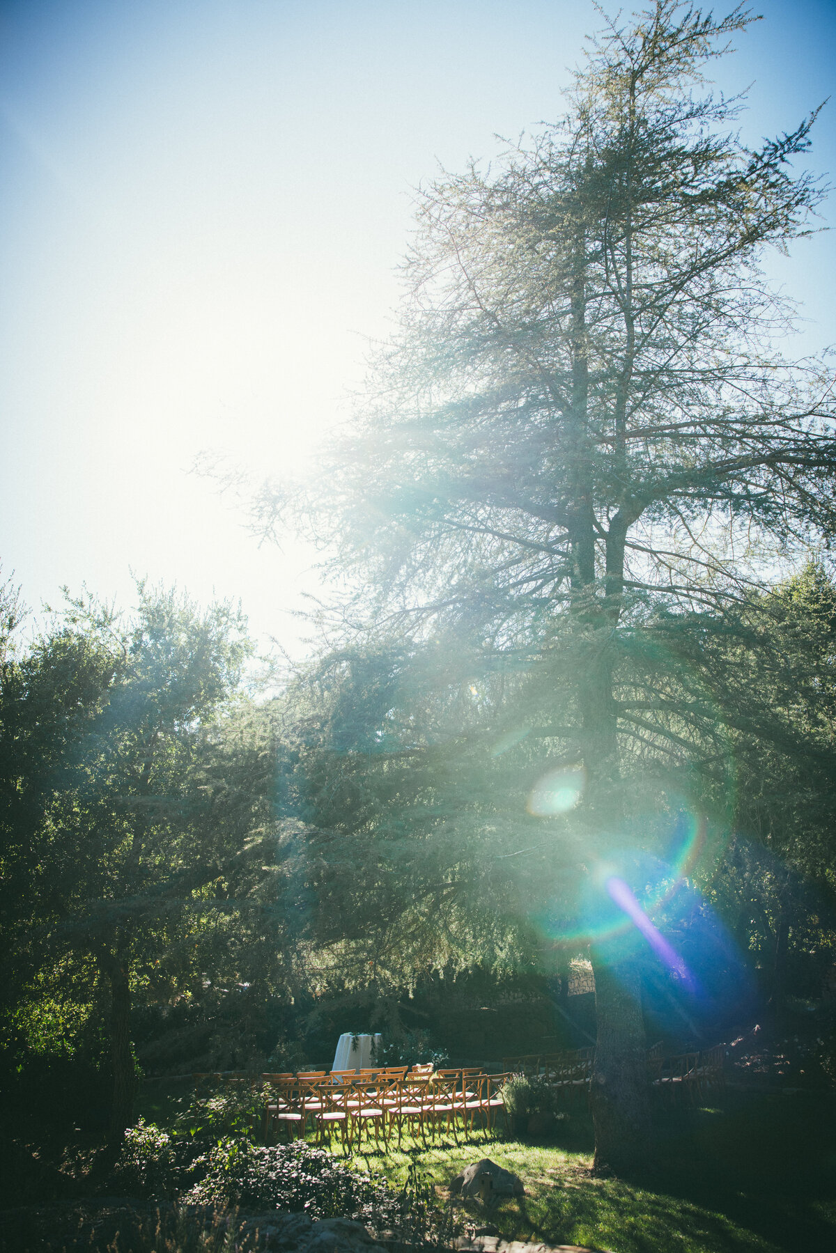 231014_SN_2015