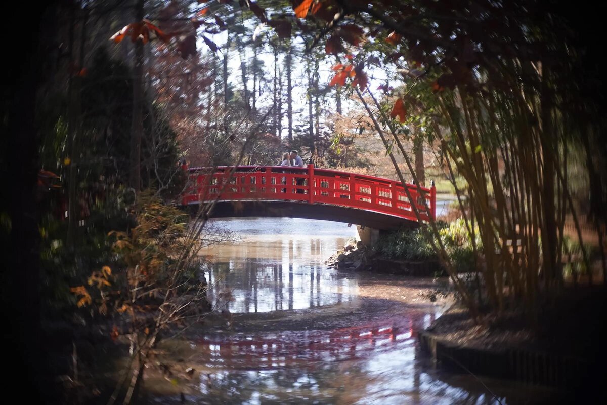 Red bridge over a tranquil pond viewed through a circular vignette, surrounded by autumn foliage