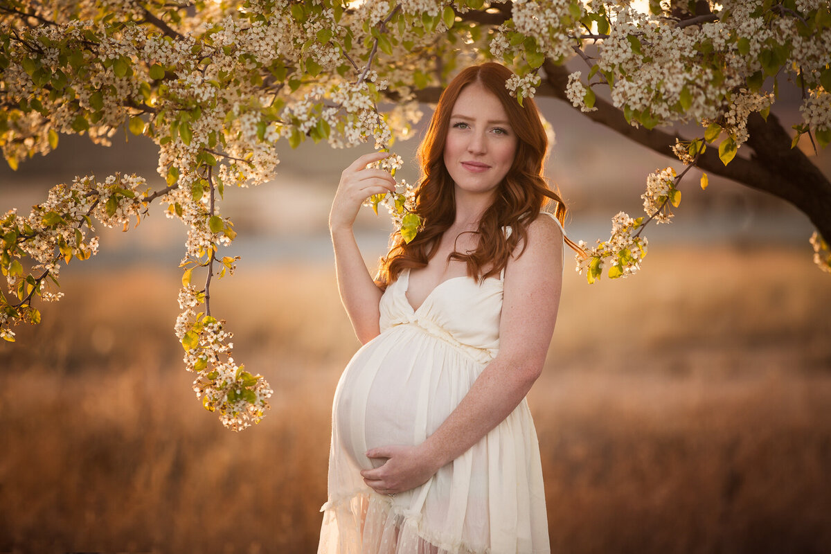 maternity-photographer-las-vegas--79