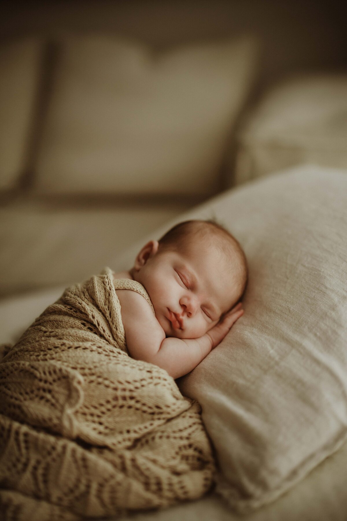 newborngallery_-20