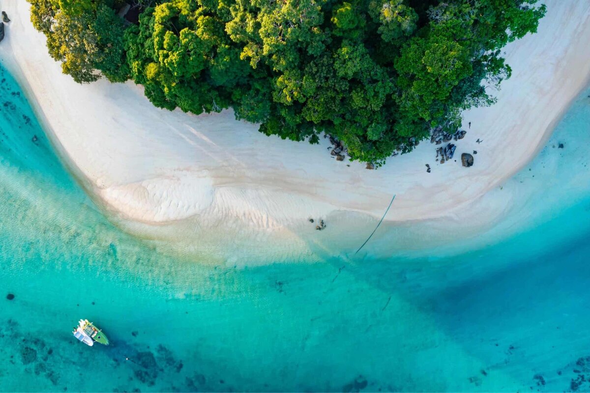 Scuba diving and snorkeling from a private yacht near a vibrant coral reef in Similan Islands.