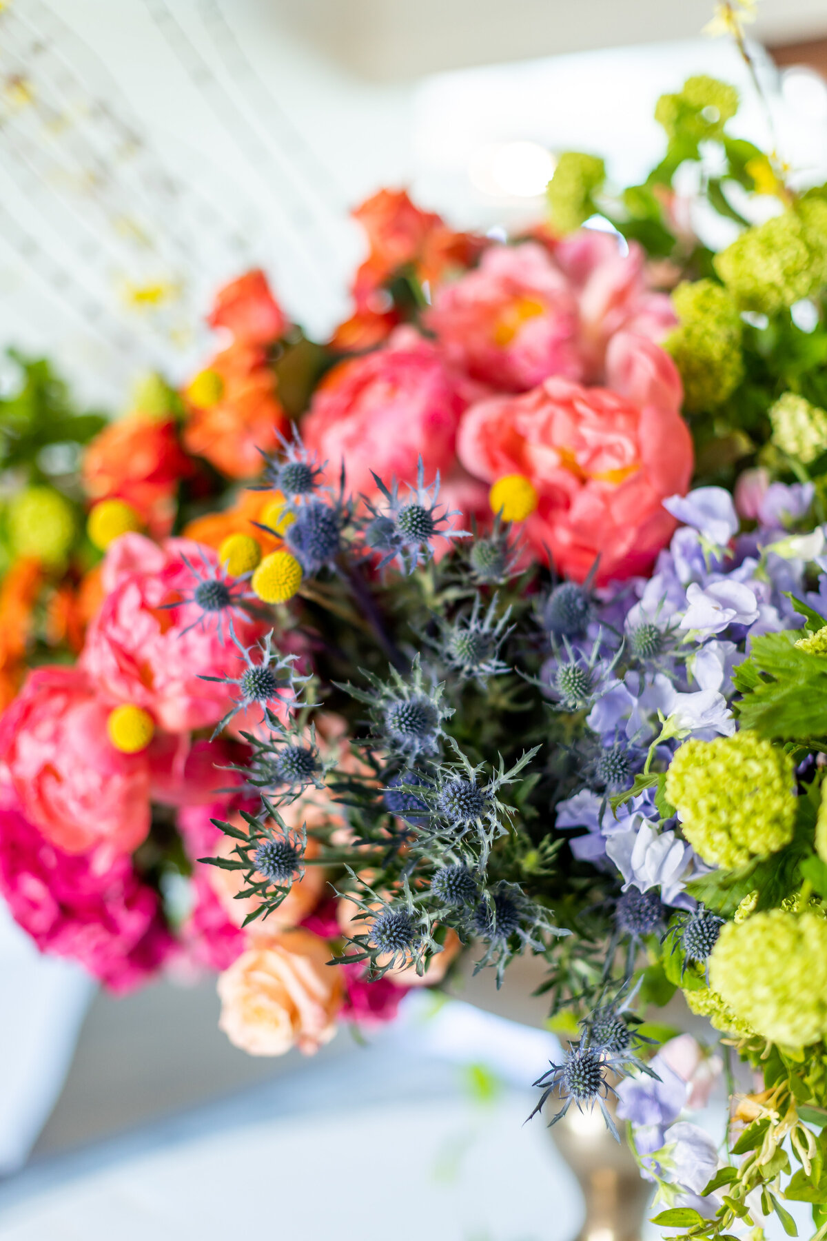 Colorful Flowers