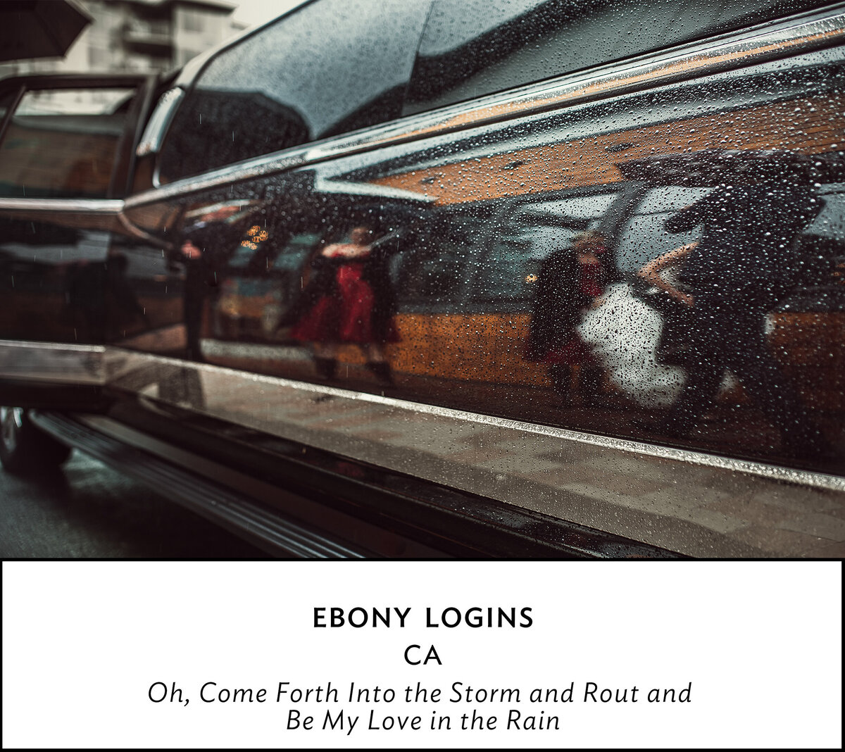 FInalist-stilllife-logins
