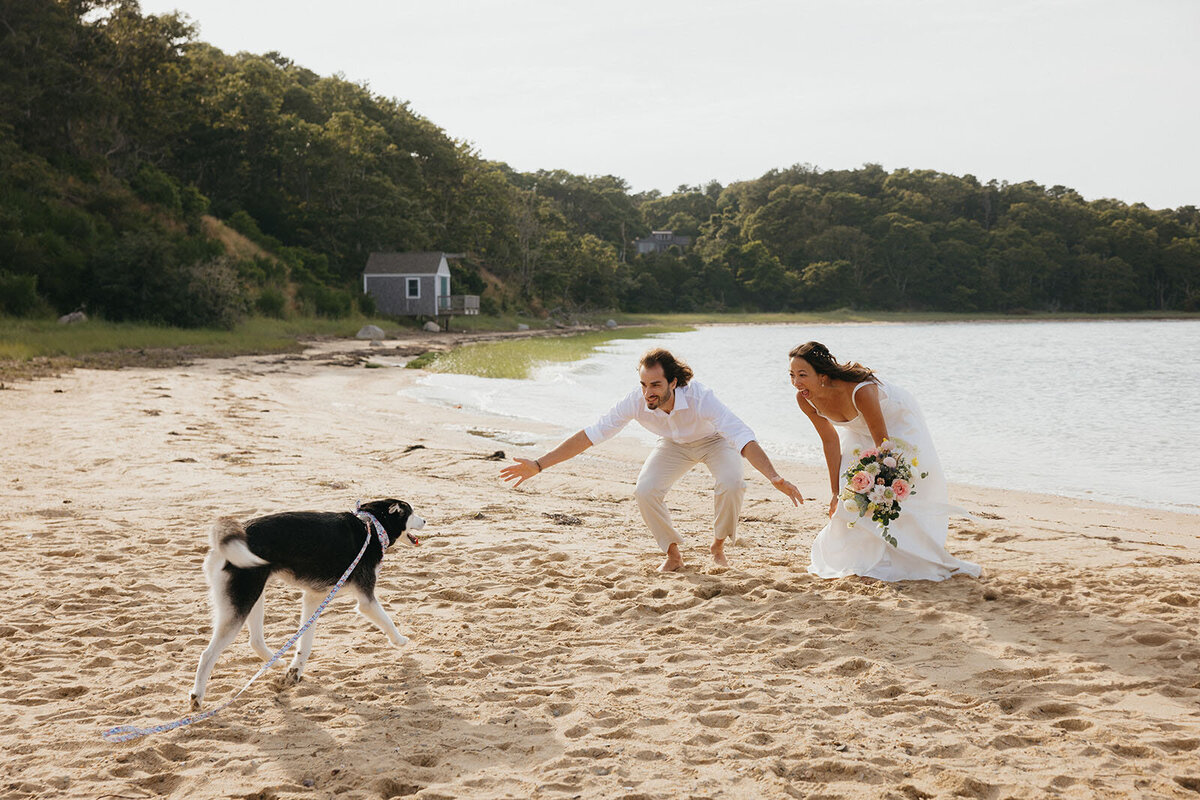 Dog-Friendly-Cape-Cod-Micro-Wedding-00595