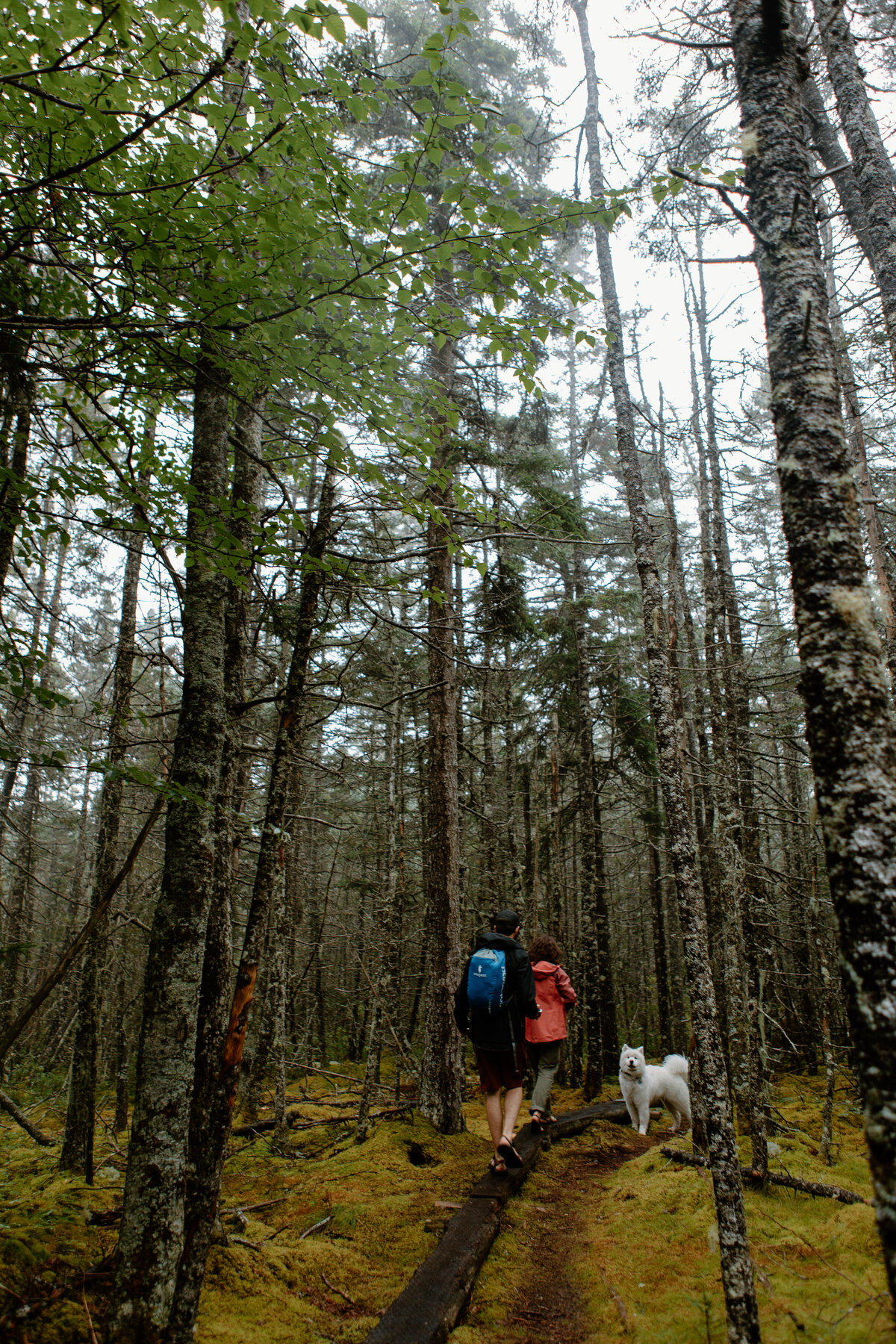 Adventure Elopement Photo and Video Team