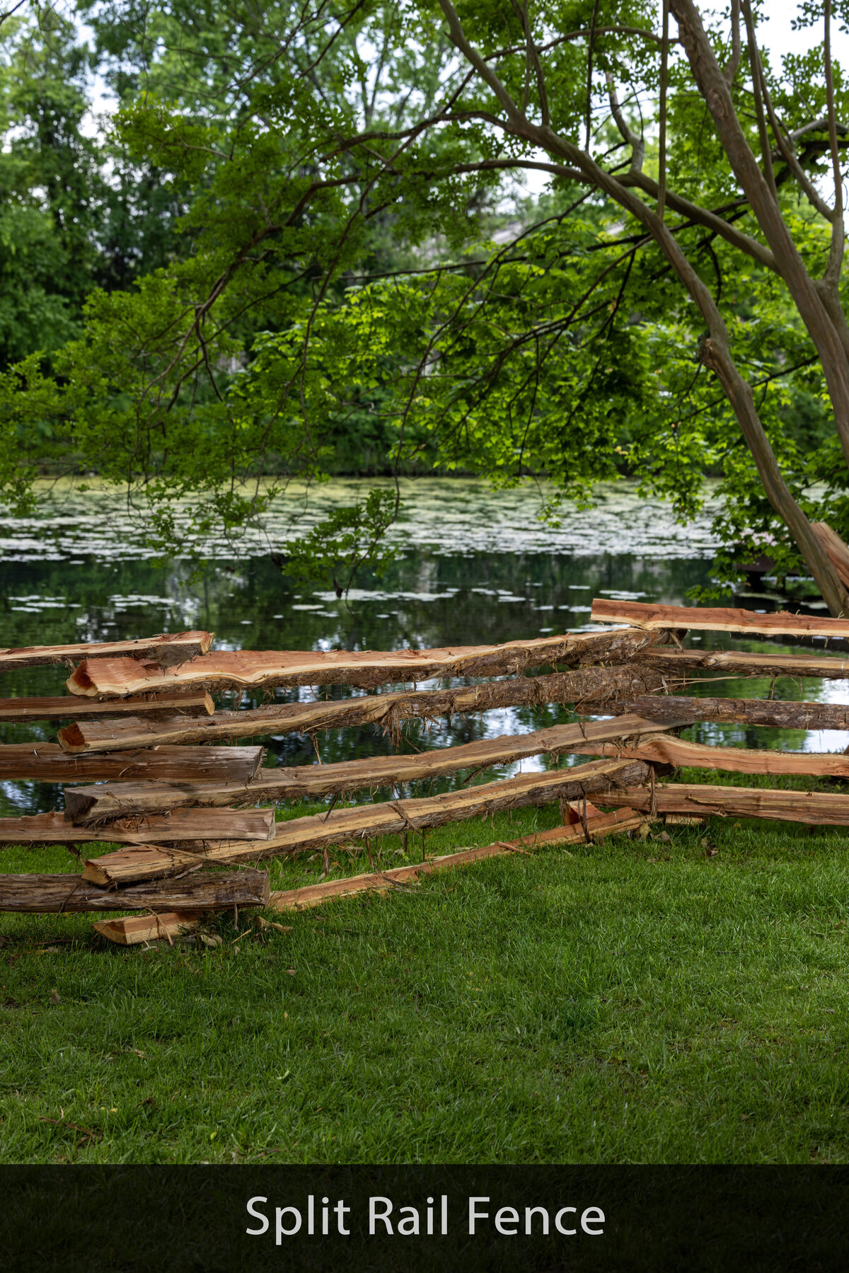 Split Rail Fence 