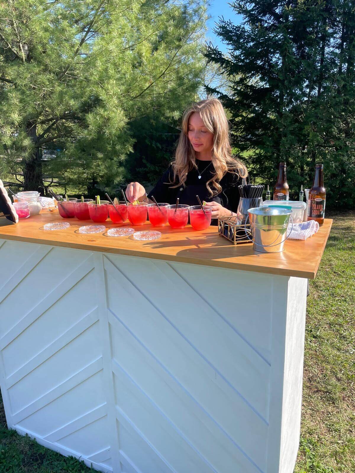 mobile_bar_ontario_hire_bartenders_event_wedding_bachelorette_party (15)