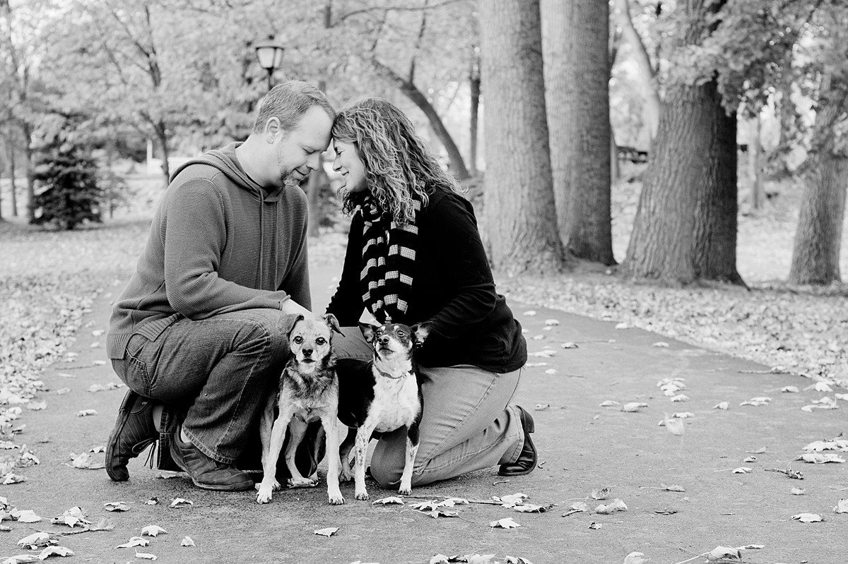 Laura Luft Family Photographer Photography Elba NY  Western NY summer family session dog furbabies-57