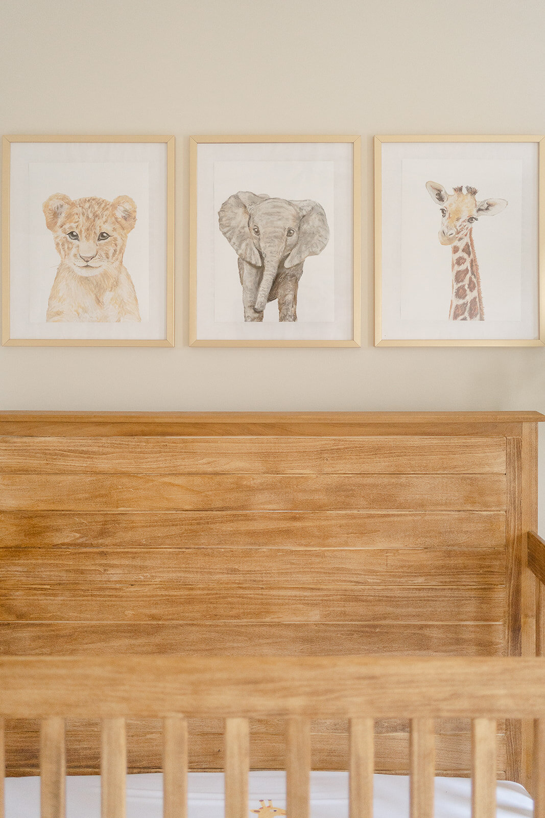 Framed  animal prints, a product photography in Haymarket, Virginia