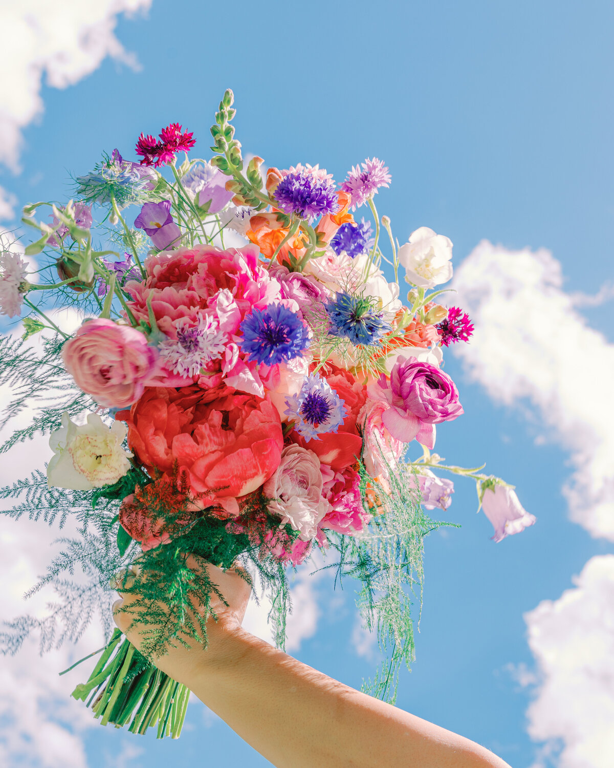 mollymiaphotographyDSC07129