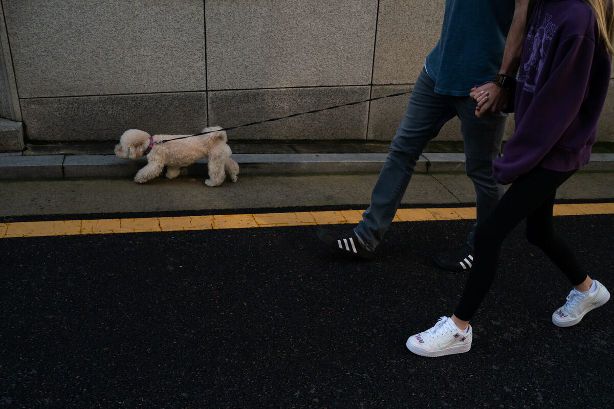 world's-best-familye-photographer-kirtsen-lewis-seoul-south-korea003