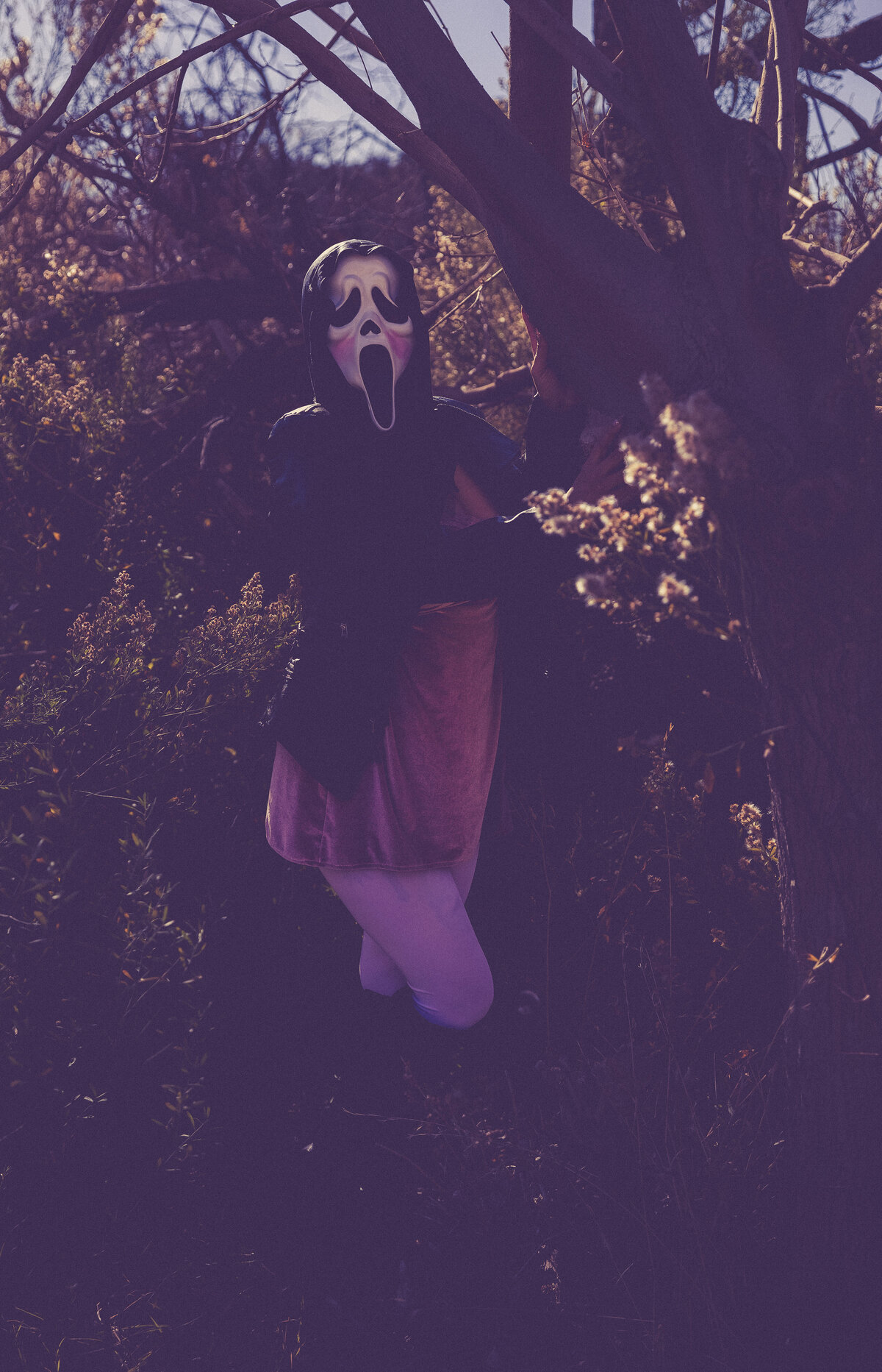 ScreamQueenValentine_07Pink