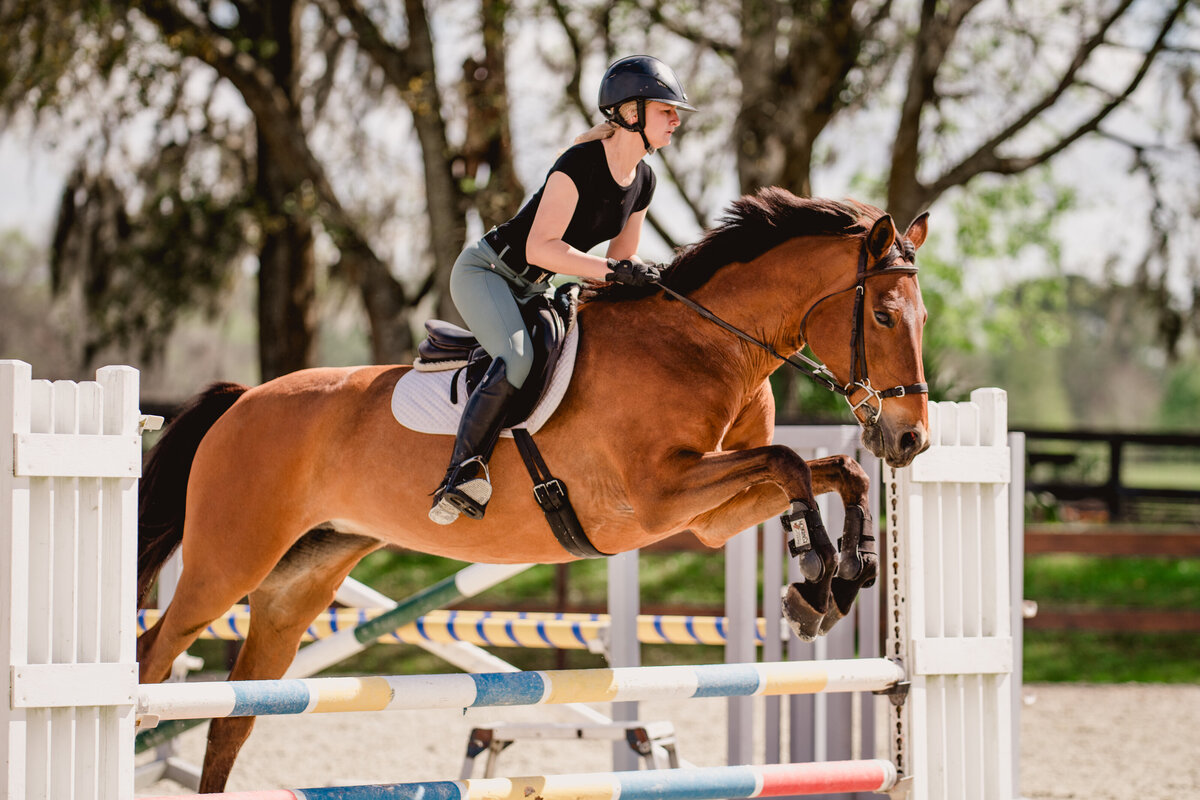 North Florida horse action photographer takes pictures of horse jumping.
