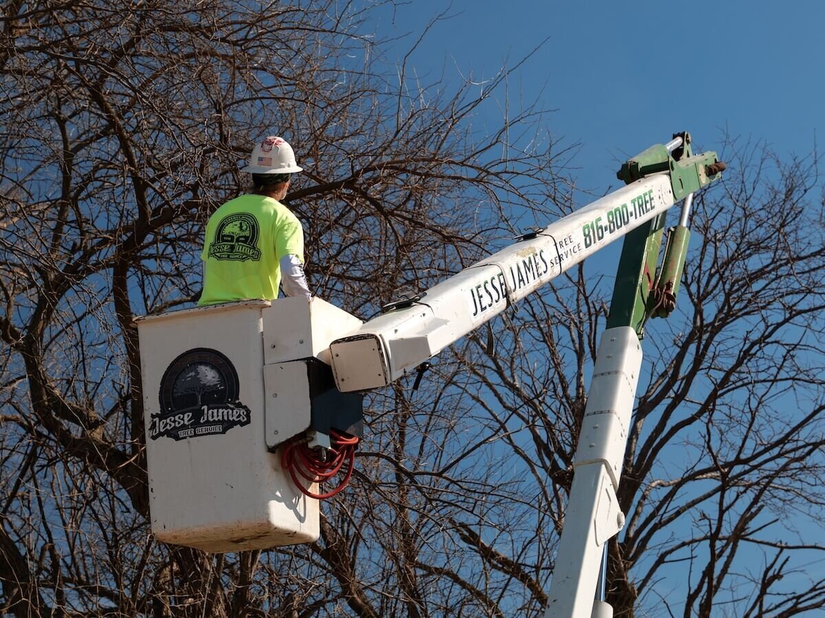 Jesse-James-Tree-Service-Kearney-MO-41