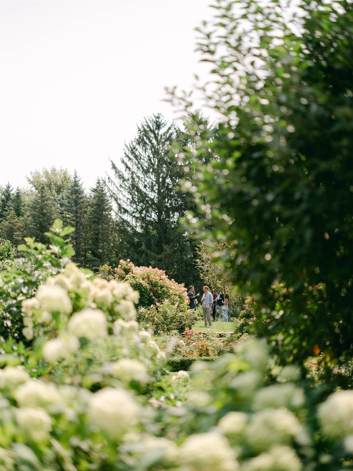 41- Lia Giannotti Photography