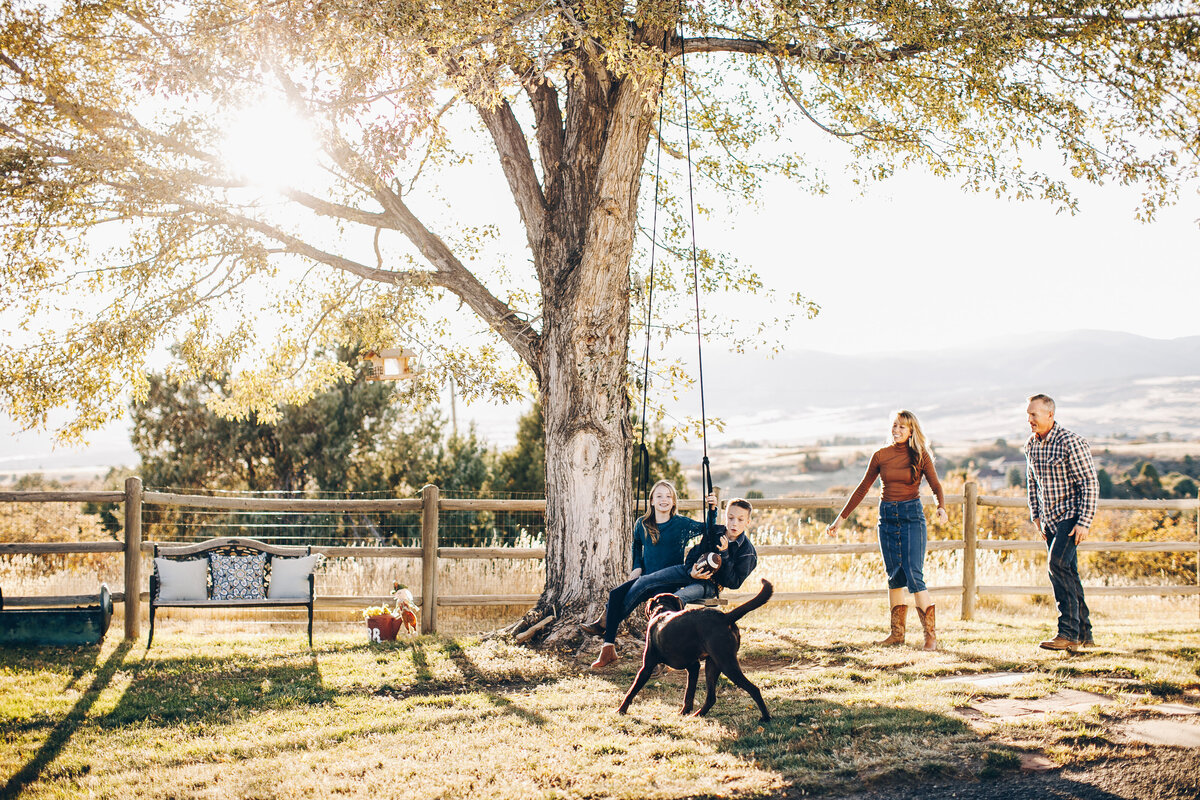 family with dog pushes child on tire swing