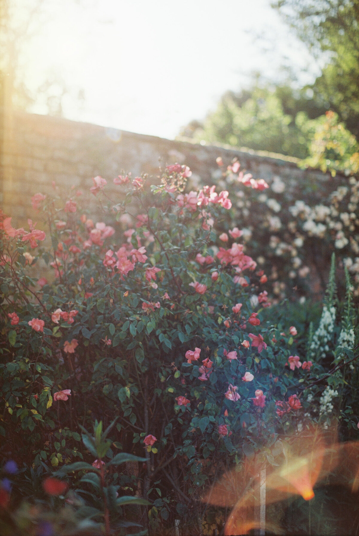 film-wedding-photographer-58