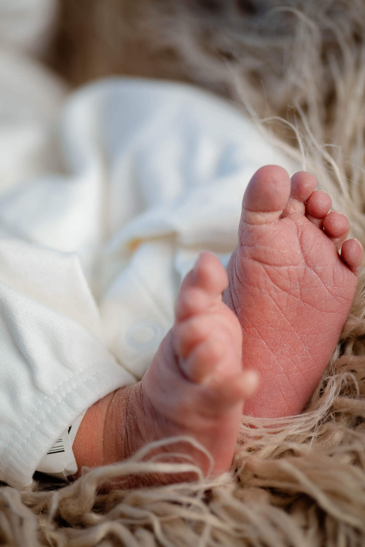 newborn-photography-baby-feet