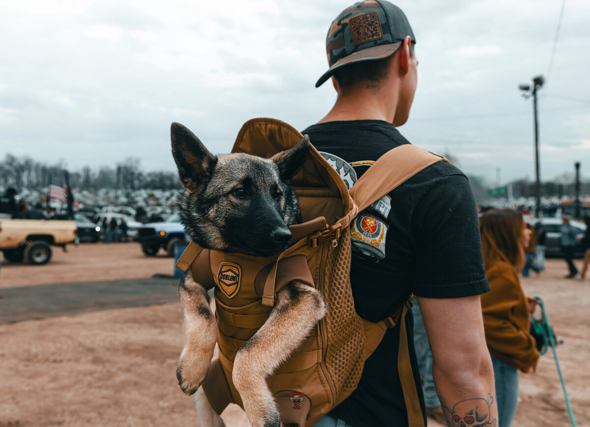 Photo Mar 29 2025, 5 46 54 AM