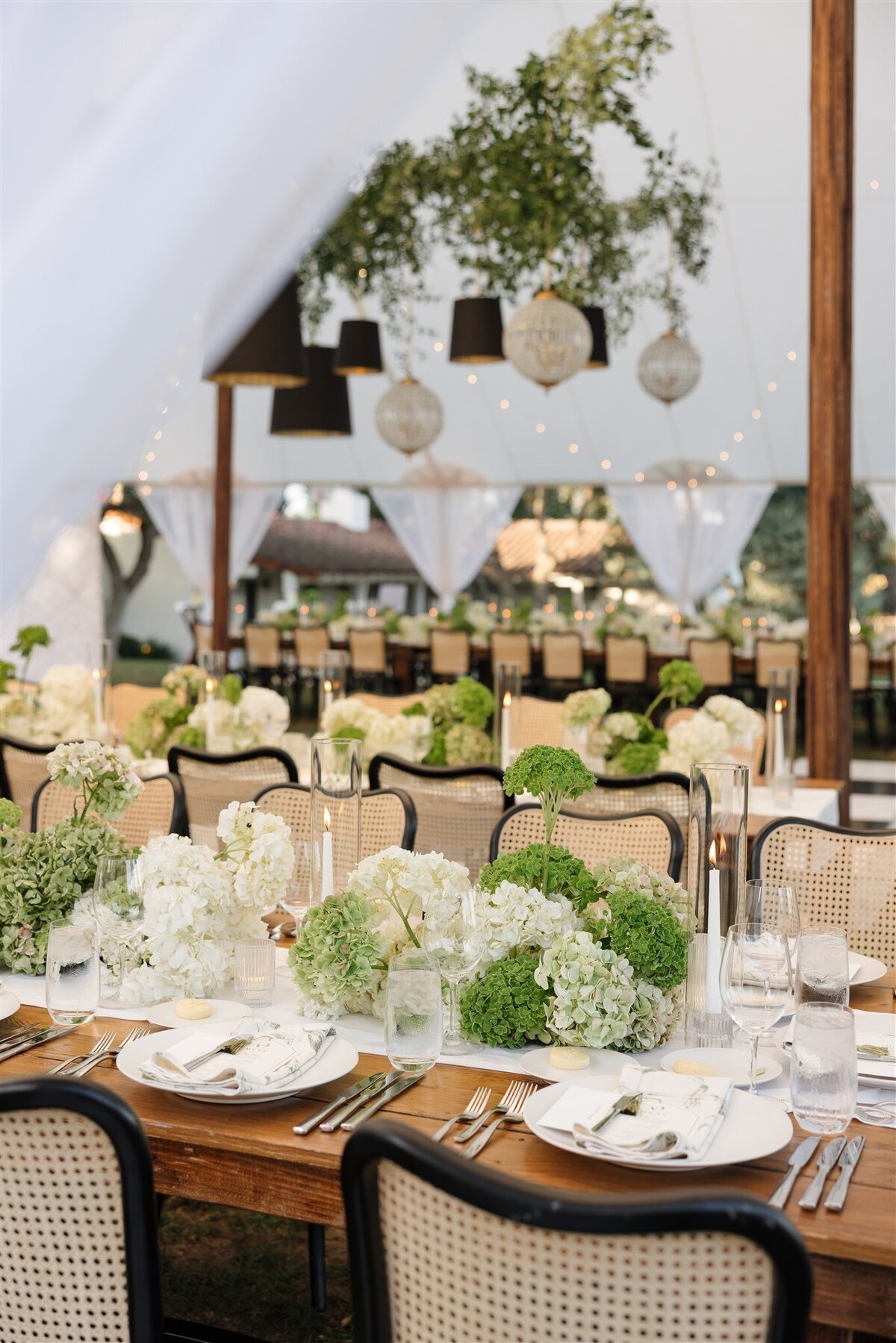 Lyndy Dustin-Details-39