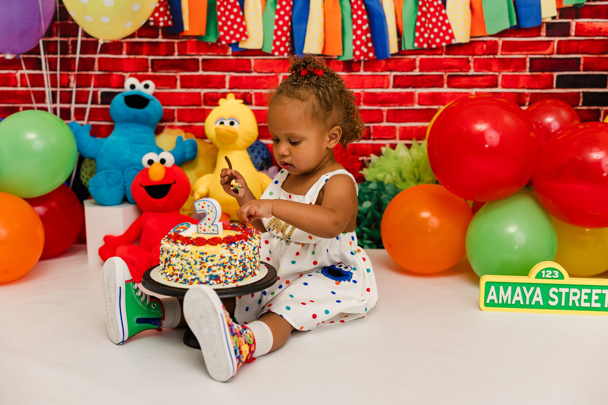 sesame street birthday