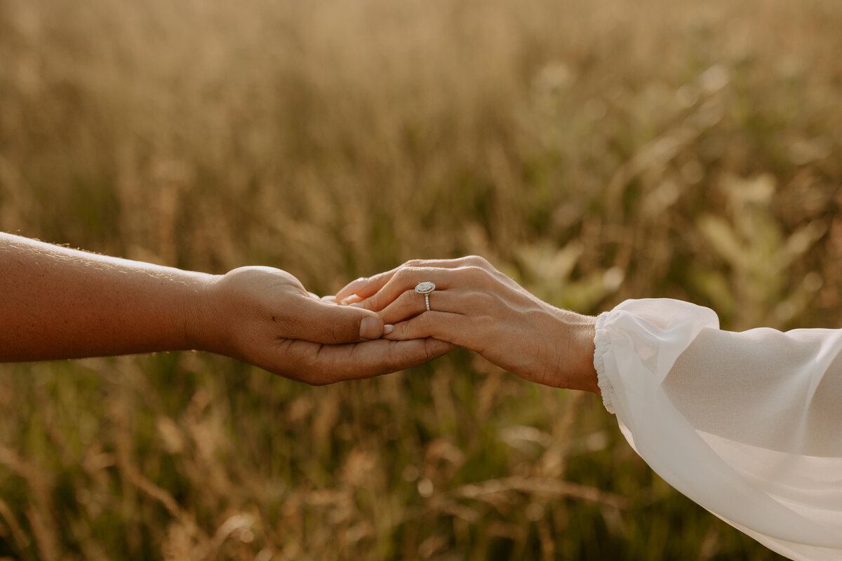 Belle-Isle-Detroit-Michigan-engagement-photos-devon-drew-molly-grunewald-photography-110