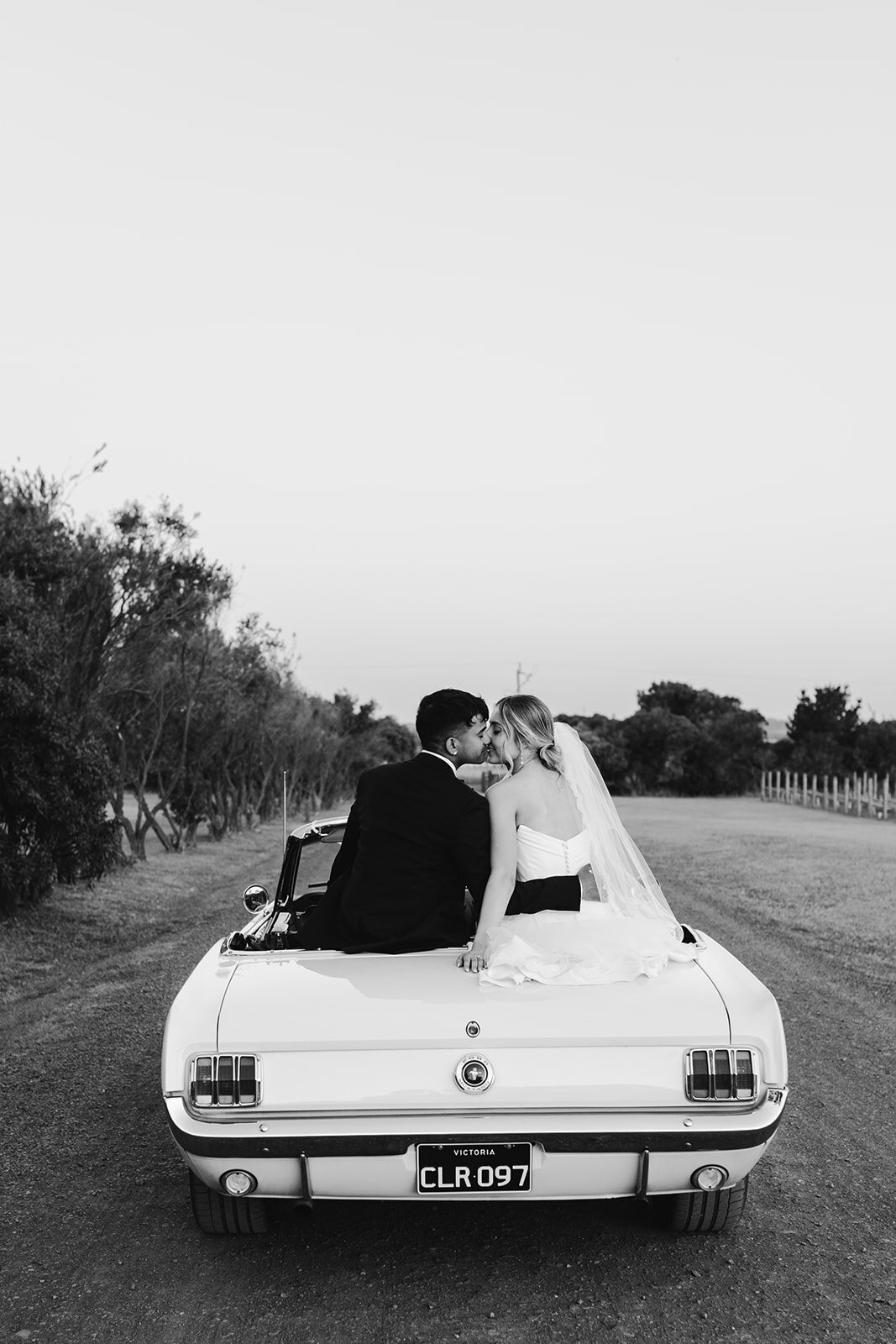 Sneak peek (181 of 195)