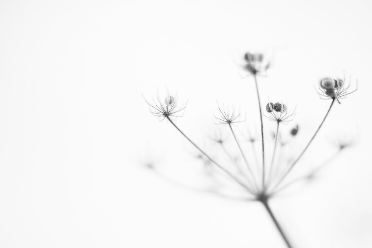fine_art_photographer _028