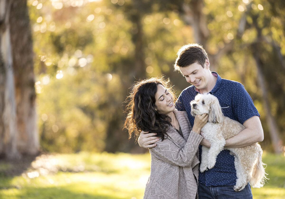 california pet photographer 2 copy