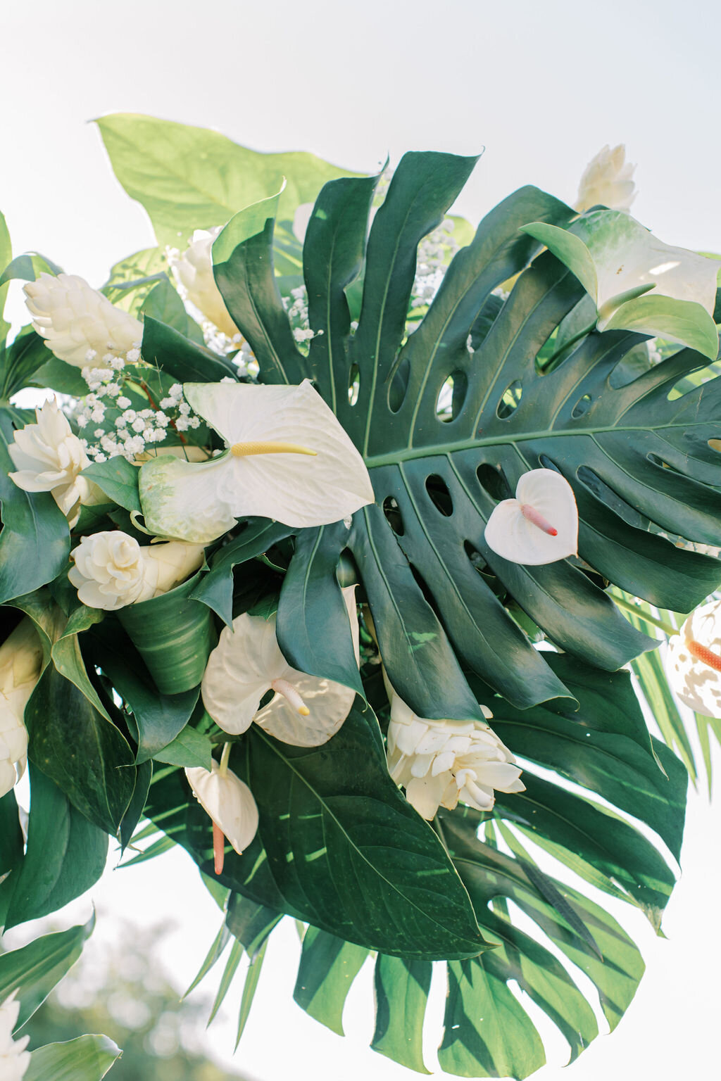 Royalton St. Lucia Destination Wedding in the Caribbean | Adela Antal Photography