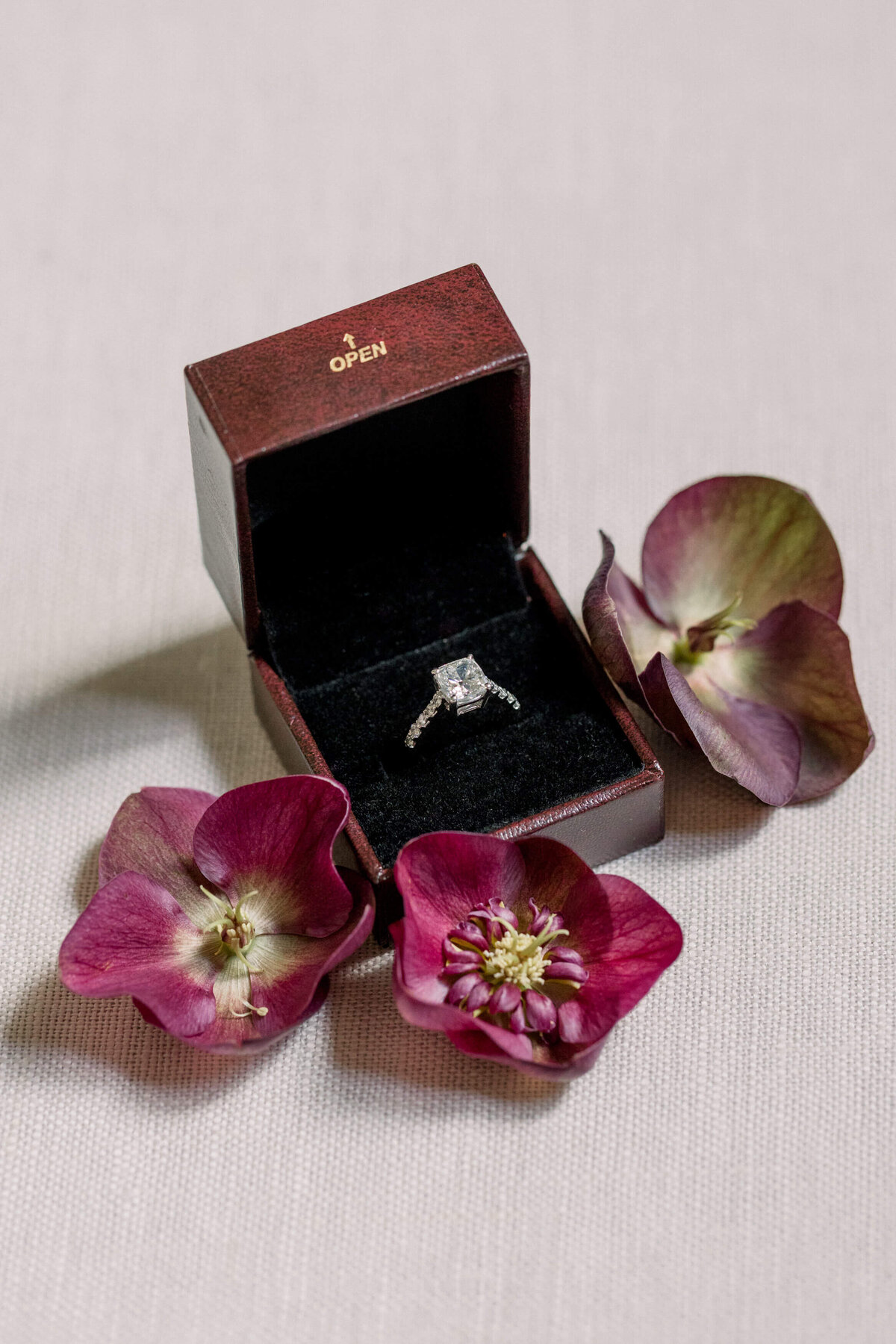 TCP_Jasna_Polana_Wedding_2_003