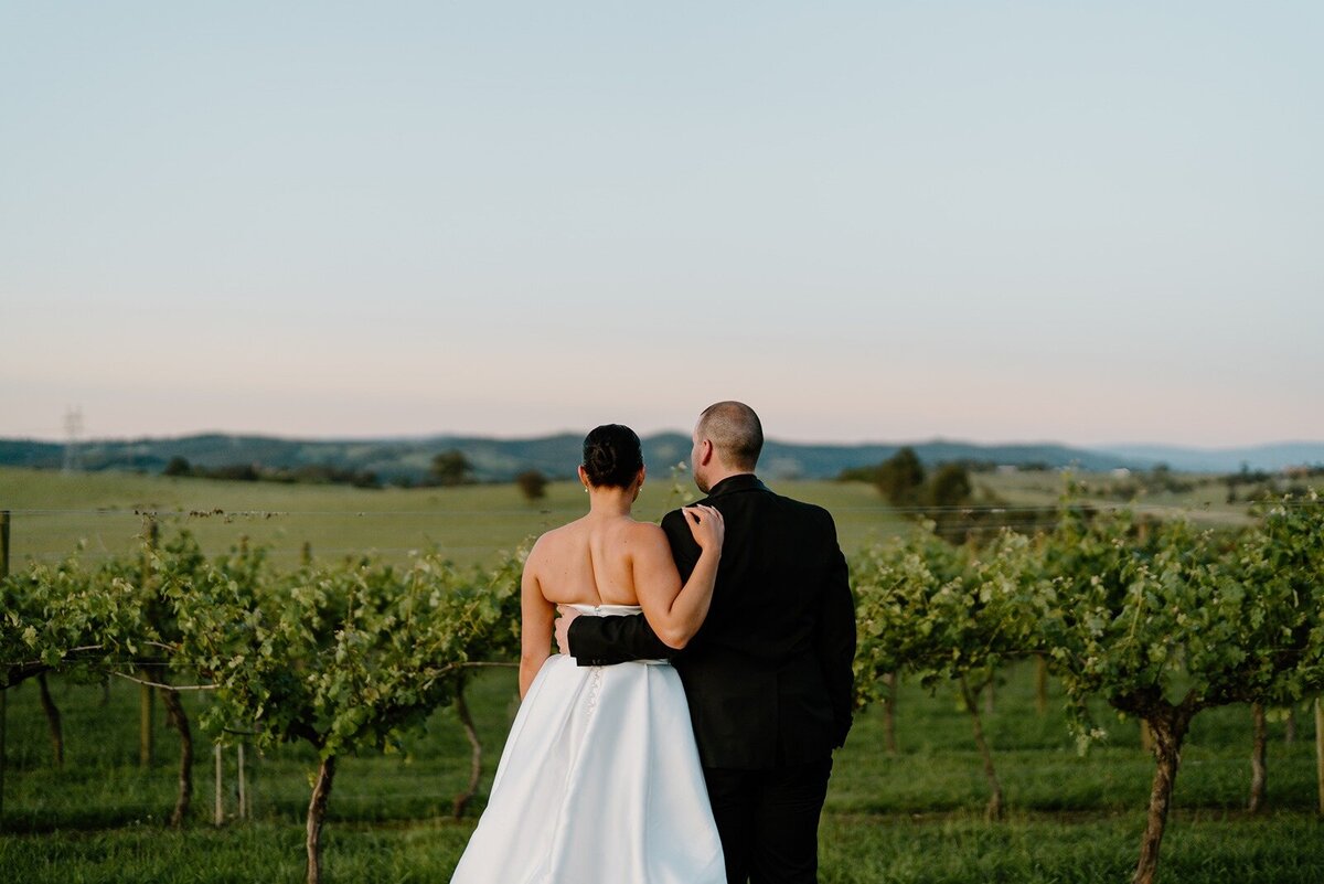 Elope-micro-wedding-vue-on-halcyon101