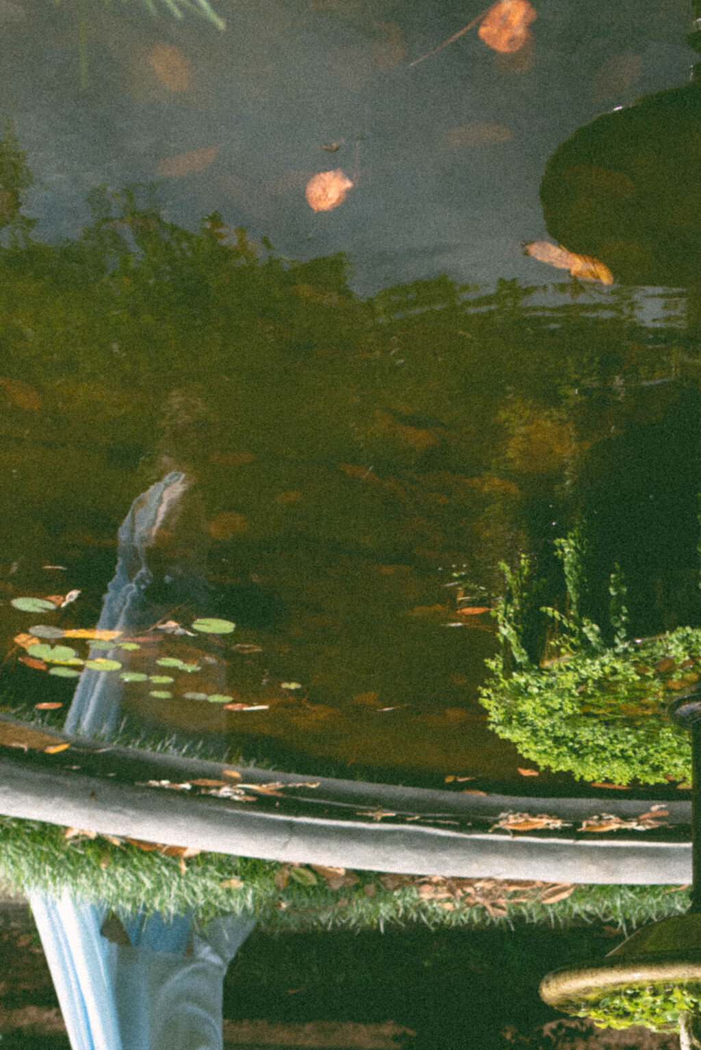 TessAntonHayHouseEngagementSessionGallery-174