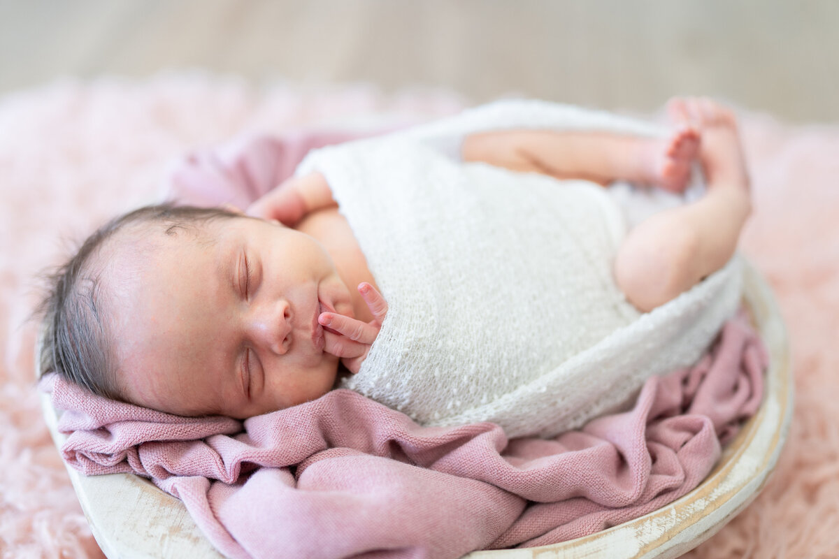 Baby Esmeralda Rose-73