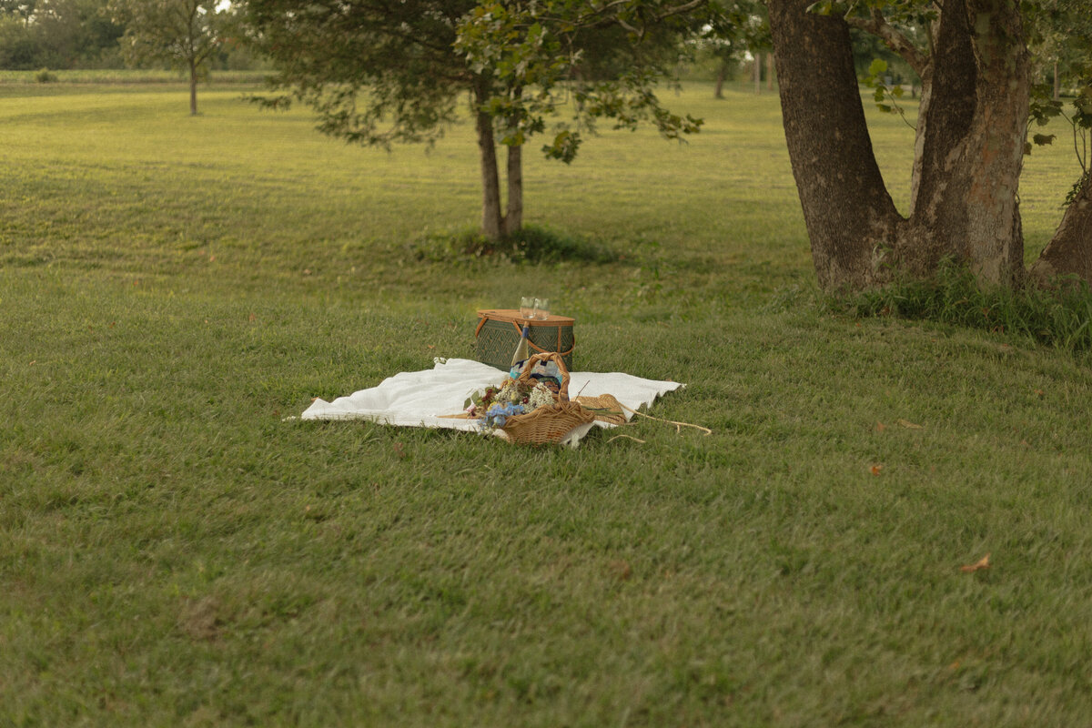 Romantic couples picnic surrounded by tropical greenery at a Florida winery