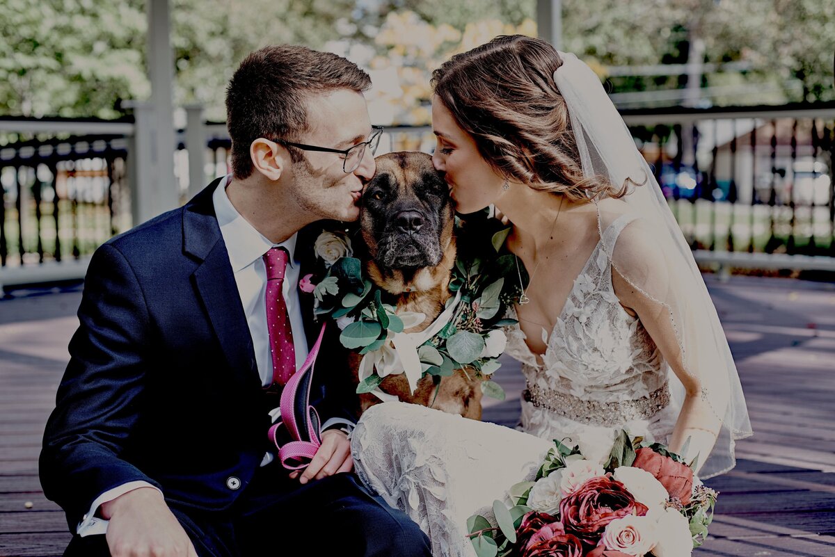bride and groom kissing their dog that's in between them in Royal Oak, Michigan Wedding_183