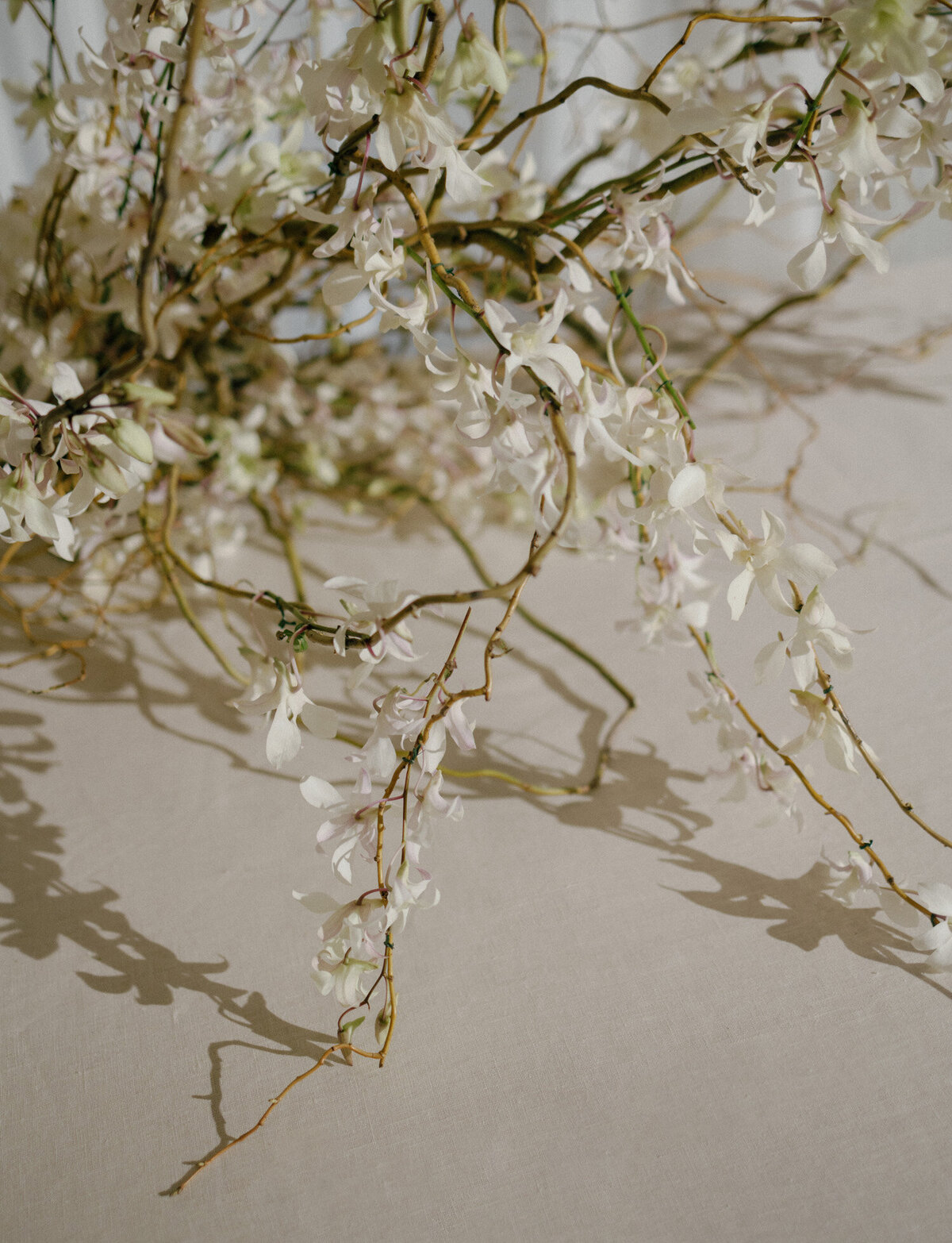 close detail of orchid floral install at a Detroit wedding 