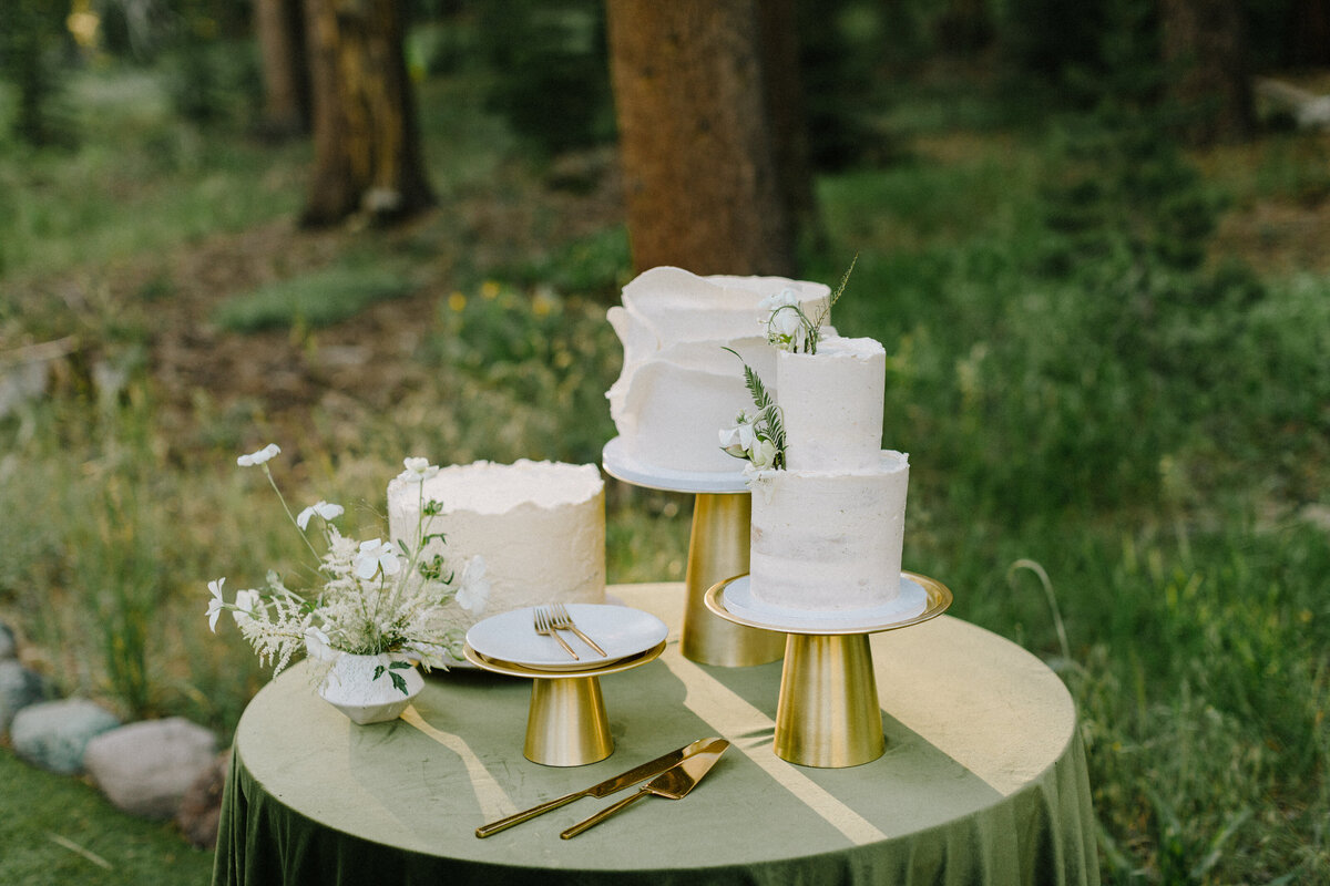 Lake-Tahoe-Wedding-Planner-Dancing-Pines-86