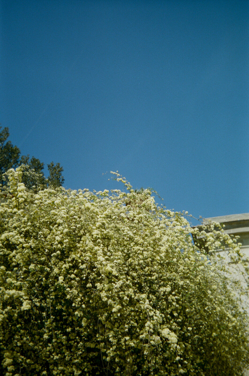 italy-film-photographer-melissa-wahler-4