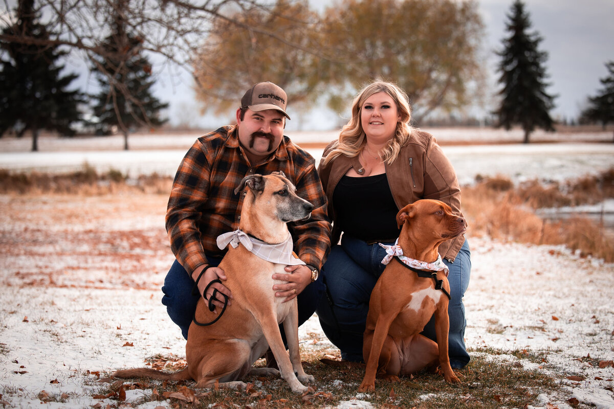 portrait of couple with their dogs