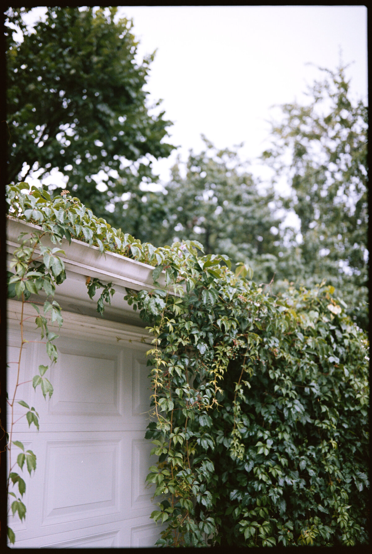 loui_photography_personal-3