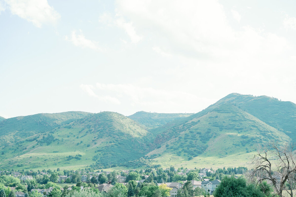 MorganandJoeSneakPeaksWedding-118
