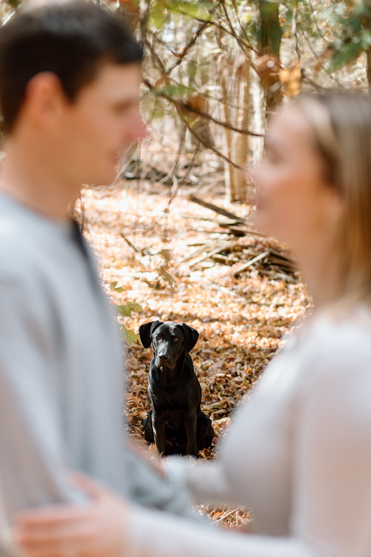 Jaymie_Brett_Engagement-198