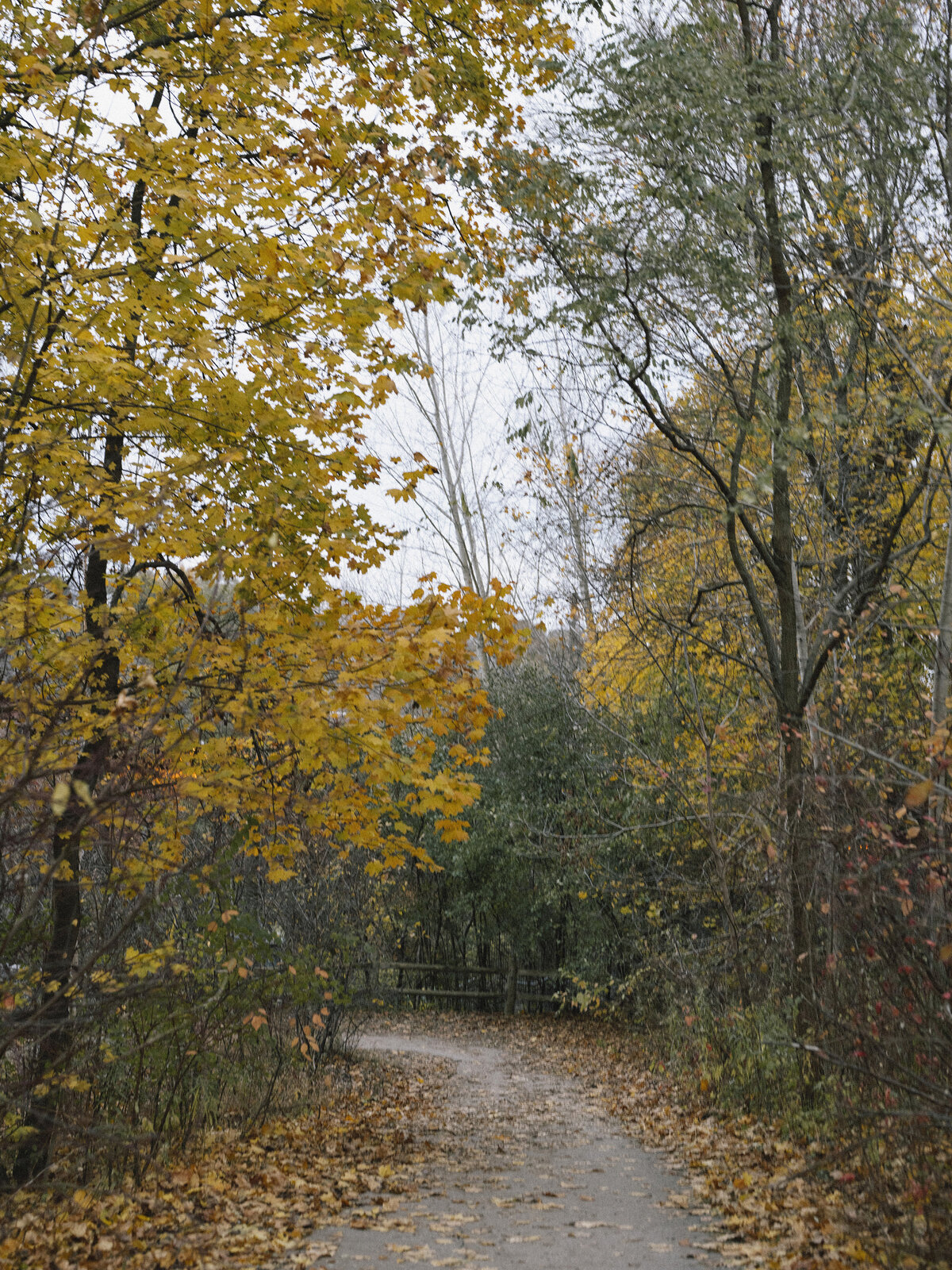 Kate Melconian Photography-SJ0001