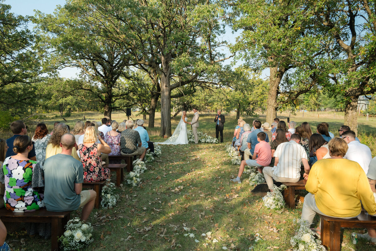 Backyard-Wedding-Rogers-MN-B&S-Will-DeGraw-Clever-Disarray-70