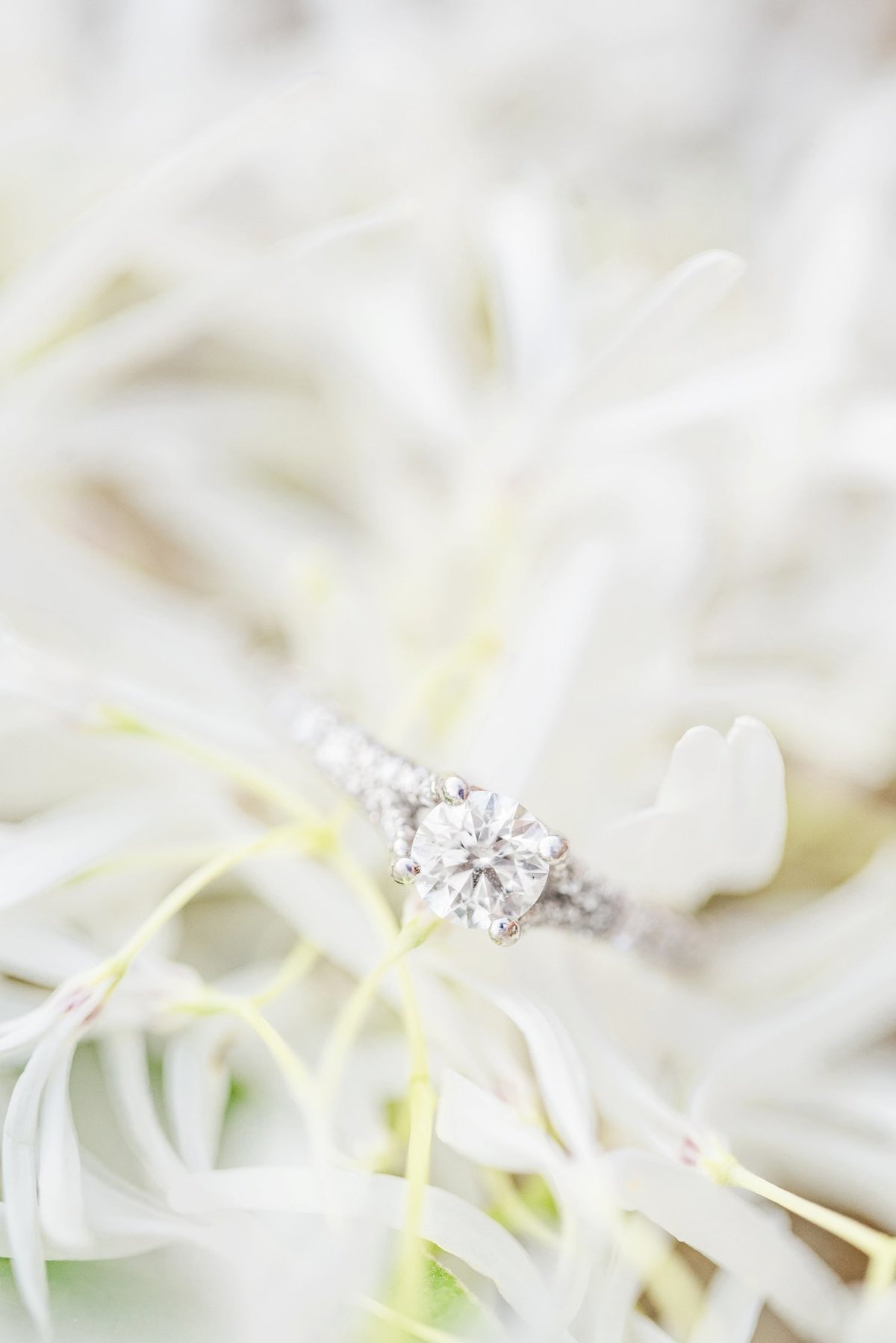 stephanie-kase-photography_0504