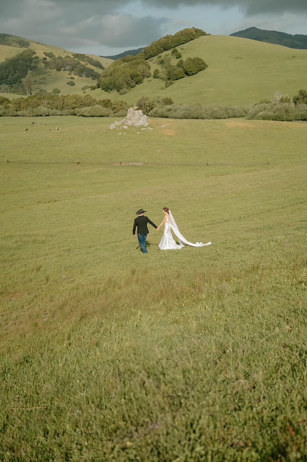 Bride and groom walking hand in hand across wide open green pasture.