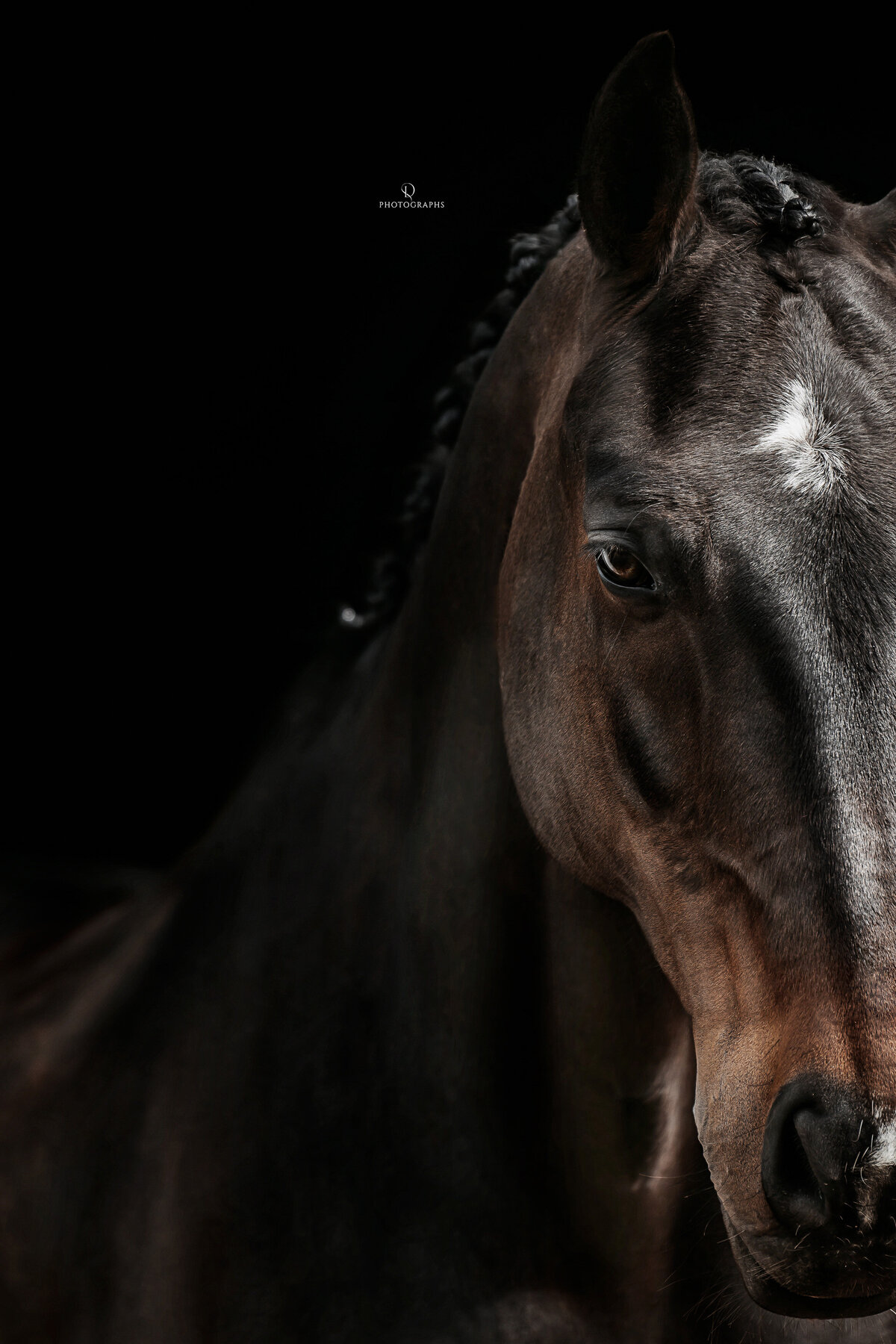 Fine-art fotografie met paard