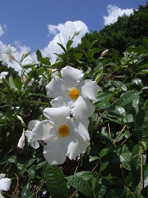 img63606576