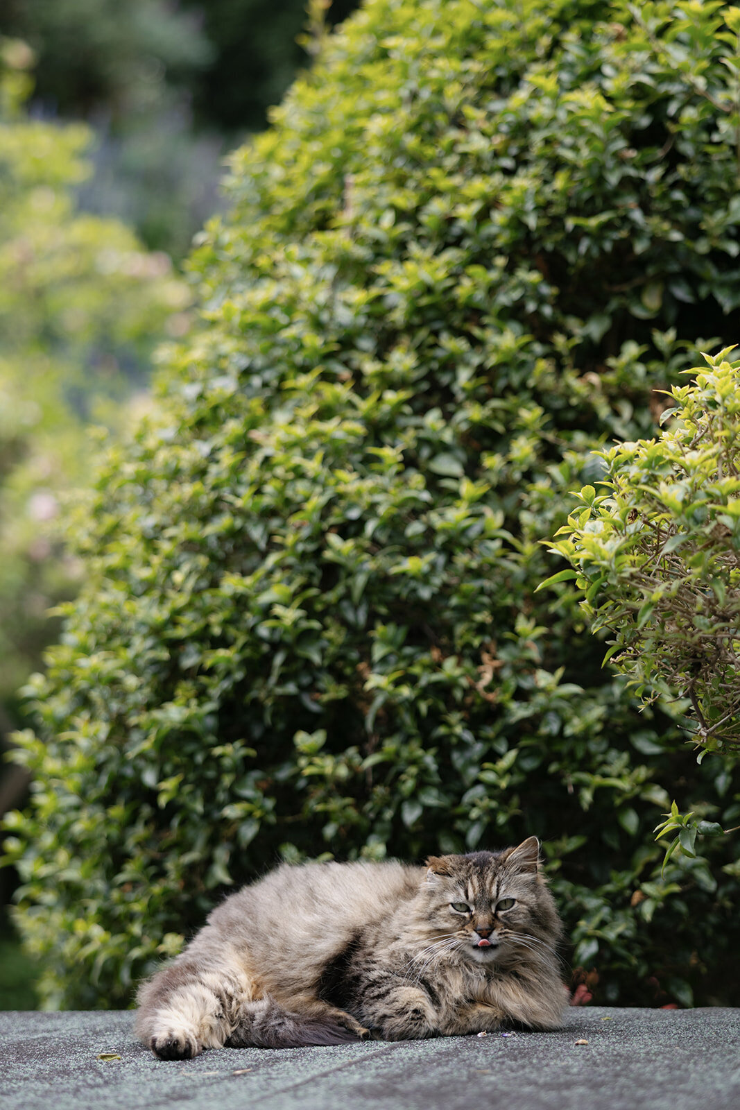 loui_photography-15